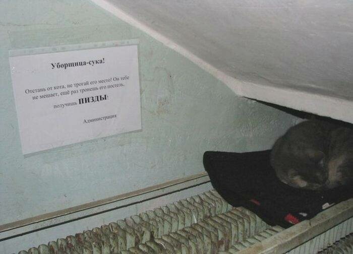 Котовсячина