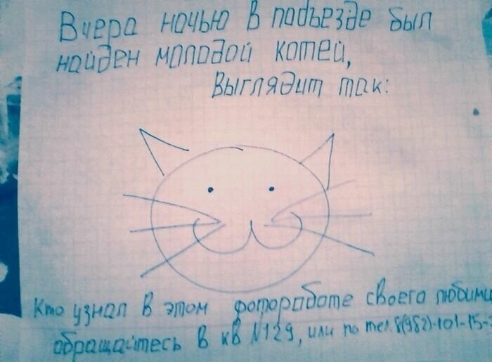 Котовсячина