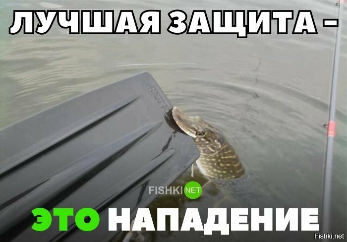 Лучшая защита - это нападение