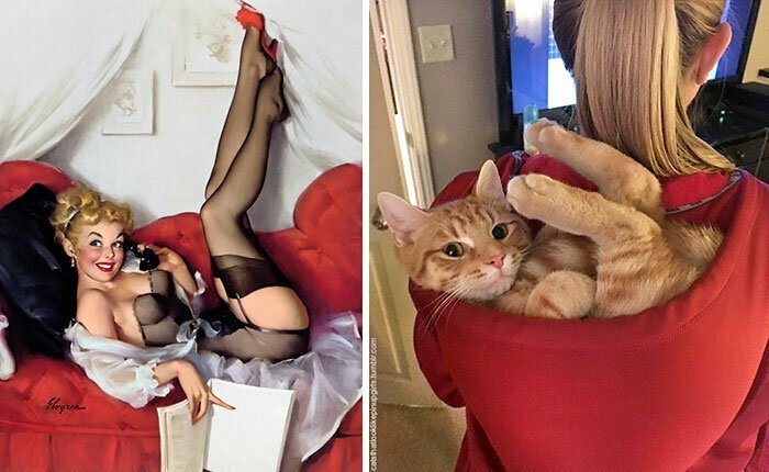 Пин-ап-девушки против кошек в борьбе за вашу любовь