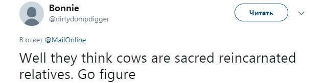 "Они же считают, что коровы - это священная реинкарнация умерших родственников. О чем тут говорить"