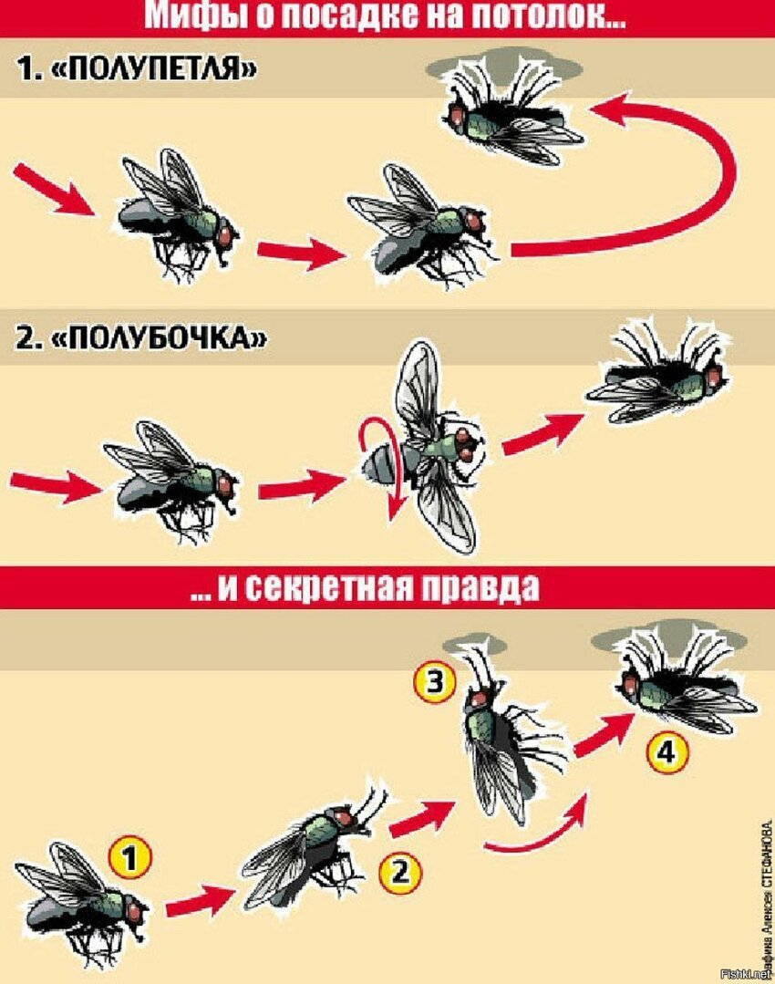 так это "кобра" Пугачёва или "колокол" 