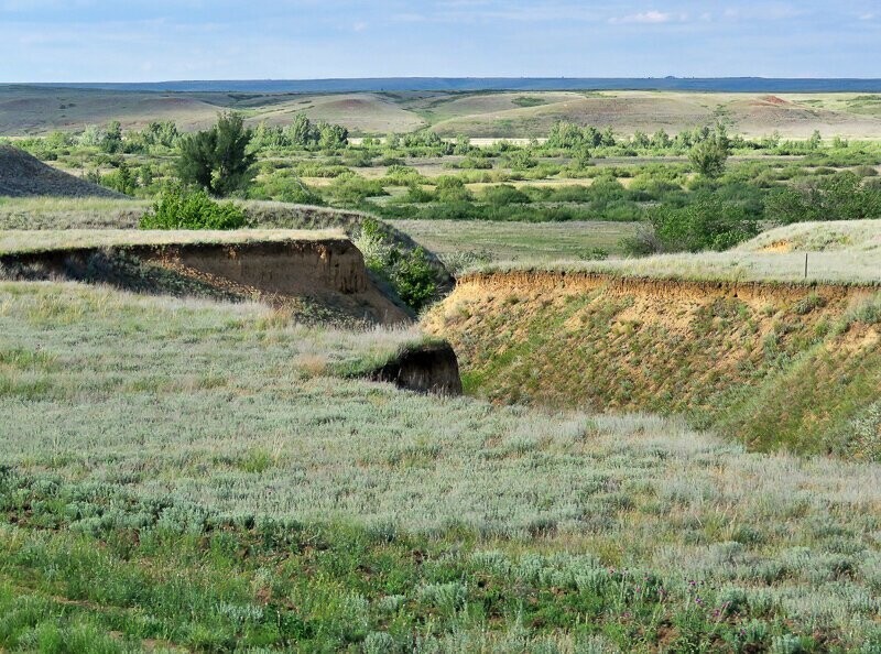 Казахского степного стойбища в соль Илецке.