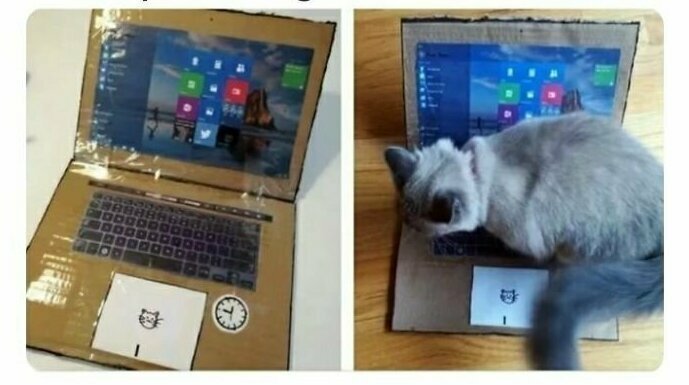 "Сделал искусственный компьютер, чтобы кот перестал меня доставать"