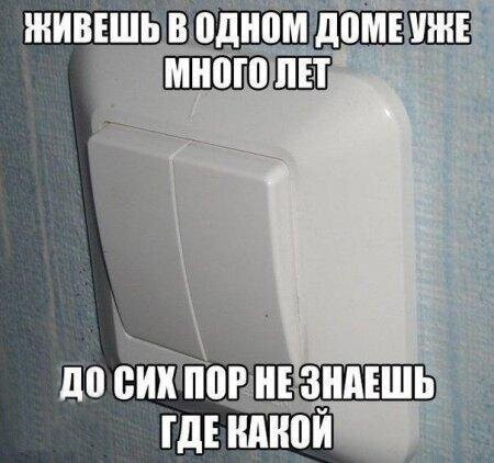 Прикольные и смешные картинки