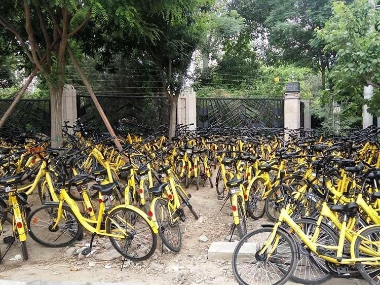 Как выглядят «велосипедные кладбища» в Китае