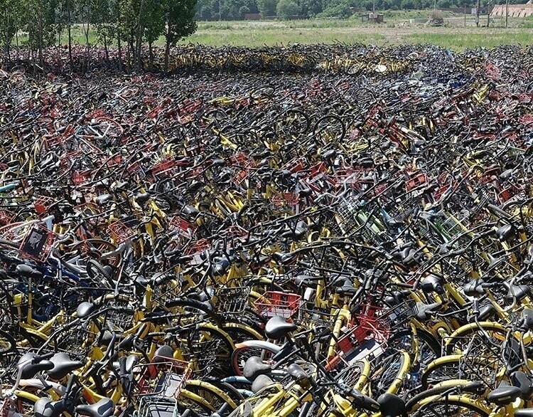 Как выглядят «велосипедные кладбища» в Китае