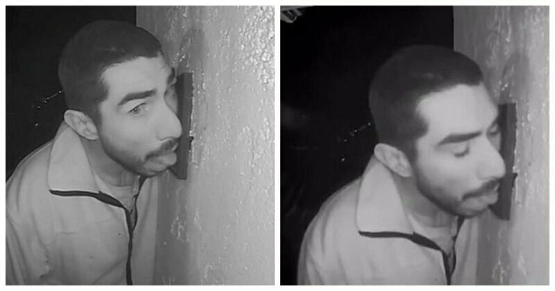 В Калифорнии скрытая камера зафиксировала парня, который три часа ублажал языком дверной звонок