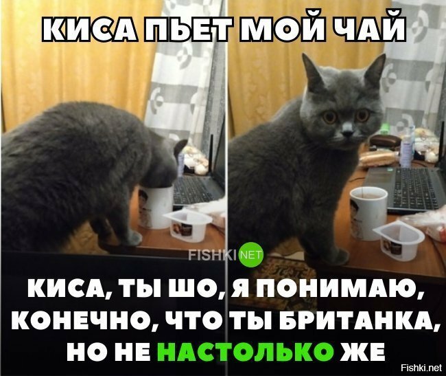 Британец истинный