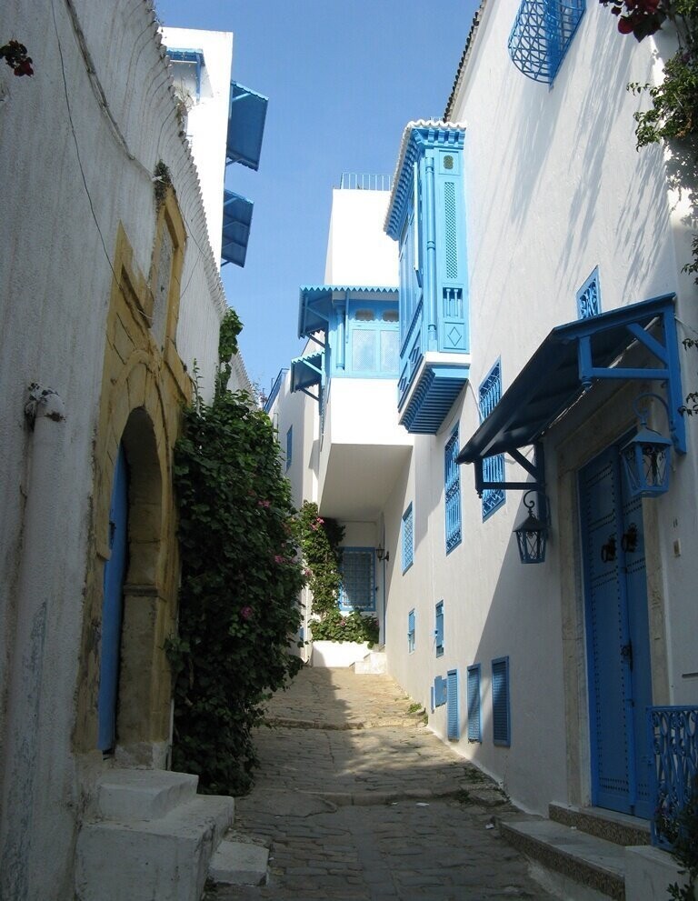 Тунис. "Бело-голубой город" Сиди-Бу-Саид