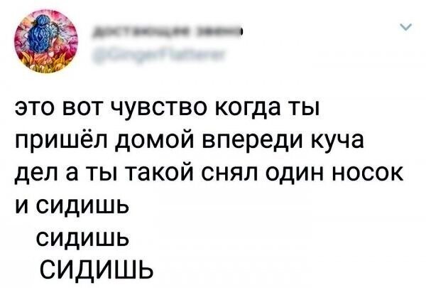 Прикольные и смешные картинки