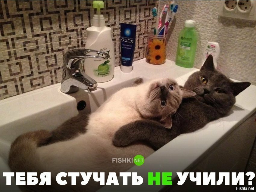 Стучатся не учили?