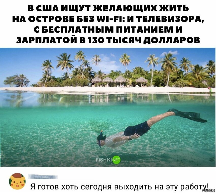 Идеальная работа