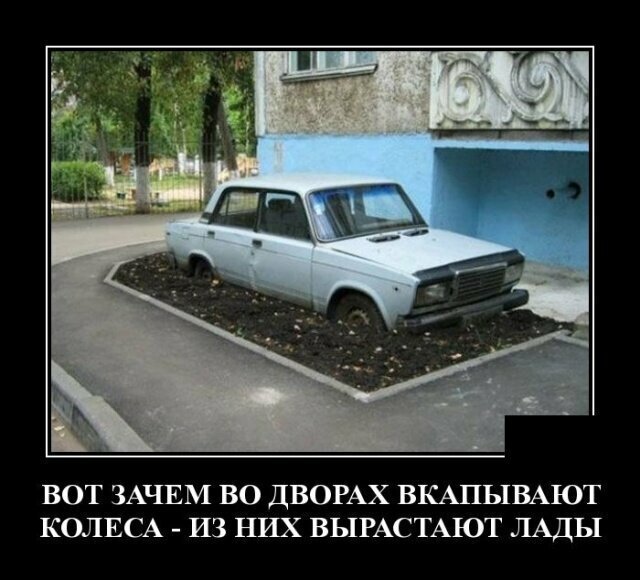 Демотиваторы