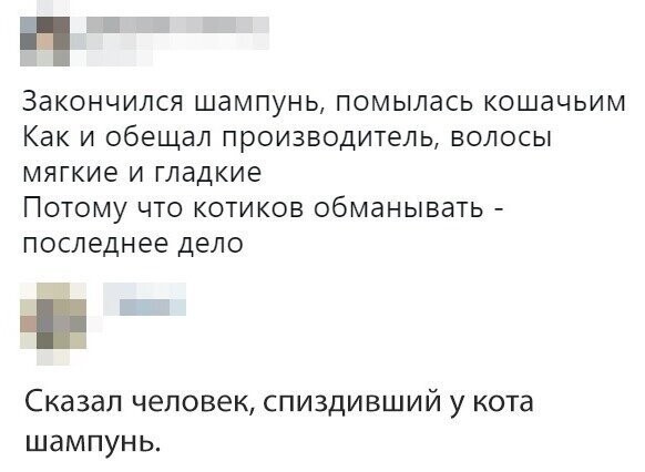 Прикольные и смешные картинки