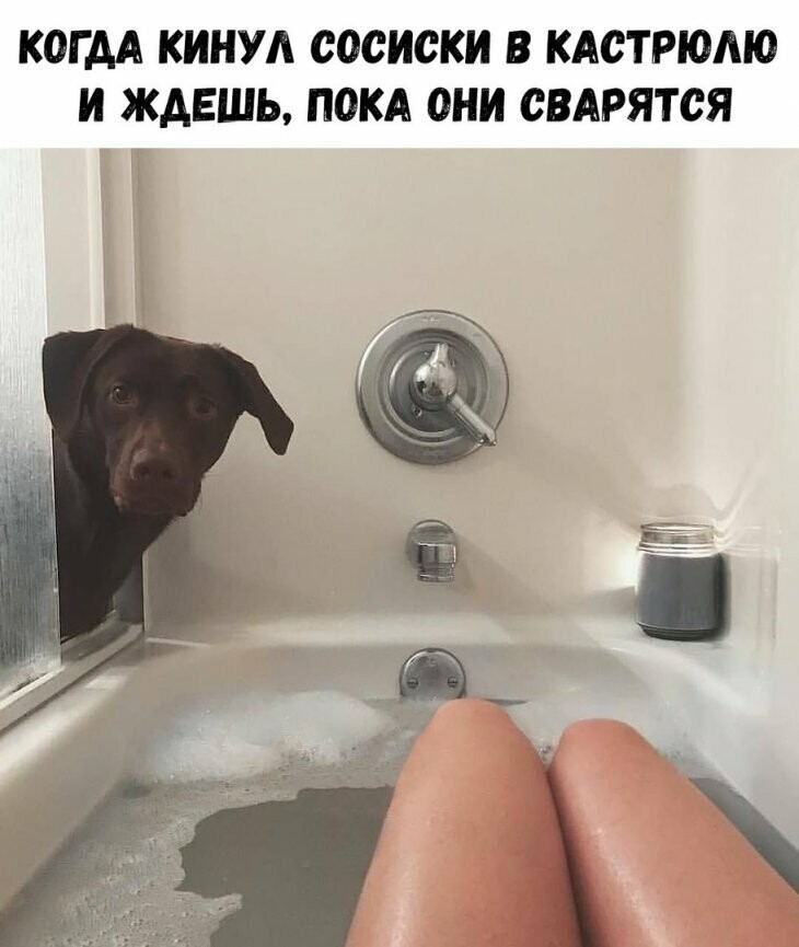 Прикольные и смешные картинки