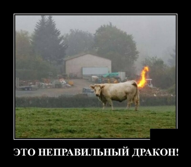 Забавные демотиваторы