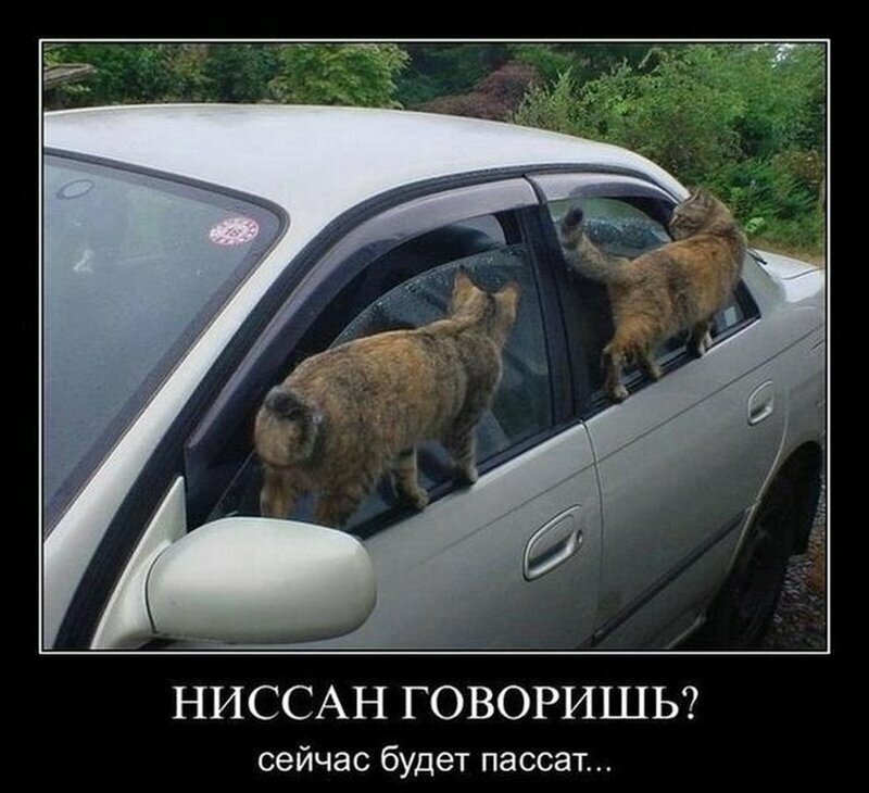 Забавные демотиваторы