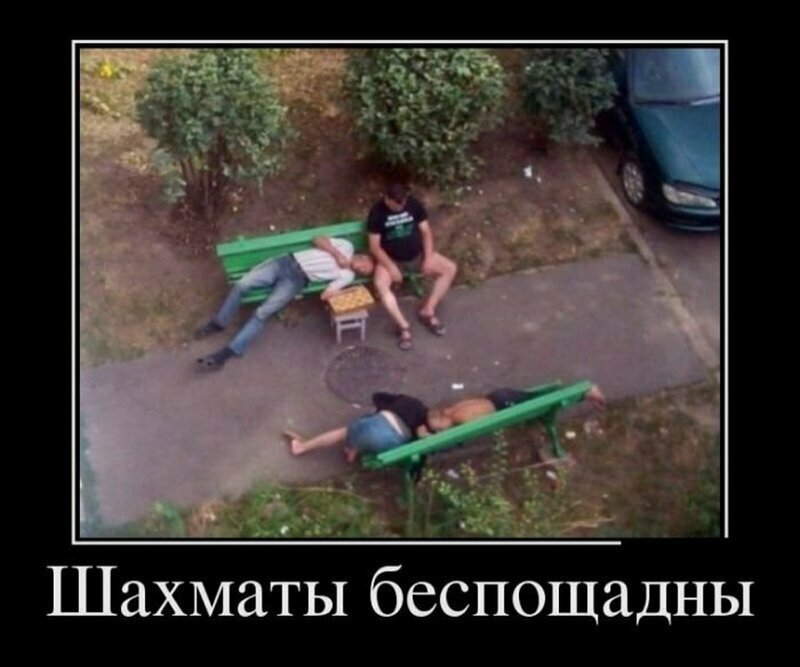 Забавные демотиваторы