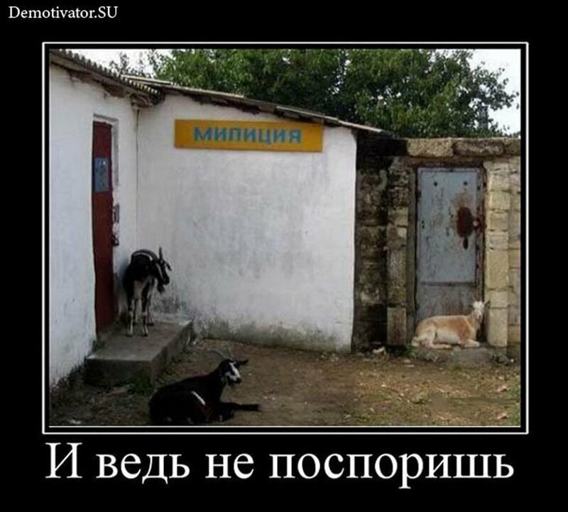 Забавные демотиваторы