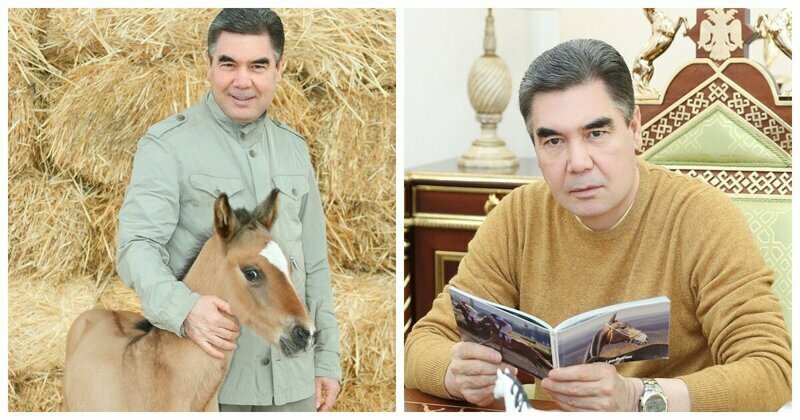 Президент Туркменистана сочинил первое в этом году стихотворение и посвятил его коню