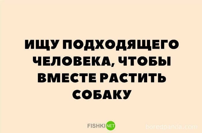 "Настало наше время": миллениалы предпочитают заводить животных, а не детей