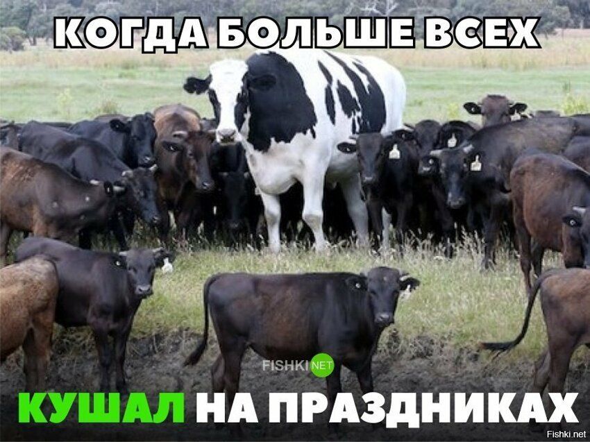 Когда больше всех ел на праздники