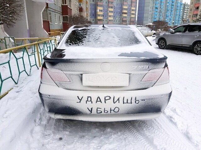 Автовсячина