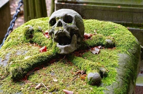 Кладбищенские истории, или Почему могилы роют глубиной 2 метра?