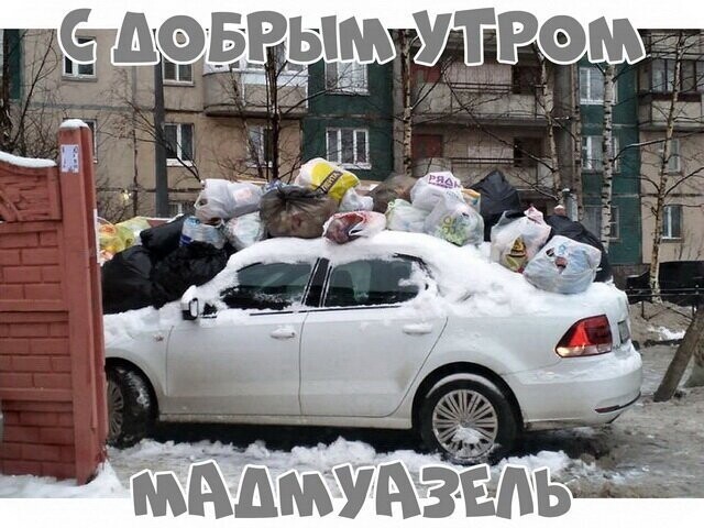 Автовсячина