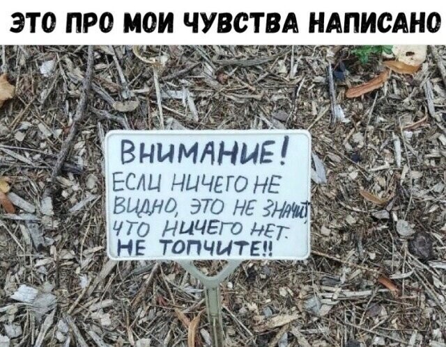 Намешалось