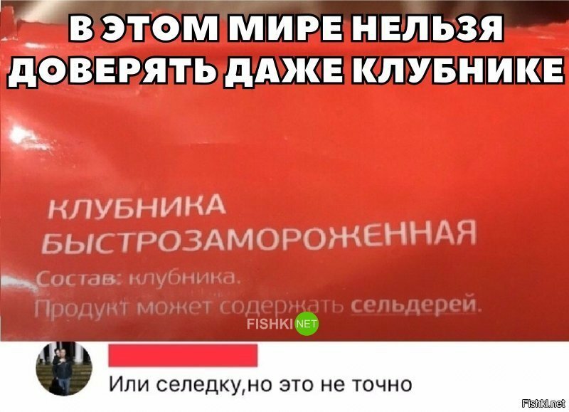 Никому нельзя доверять