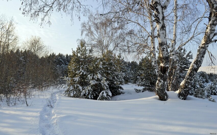 Солянка от 17.01.2019