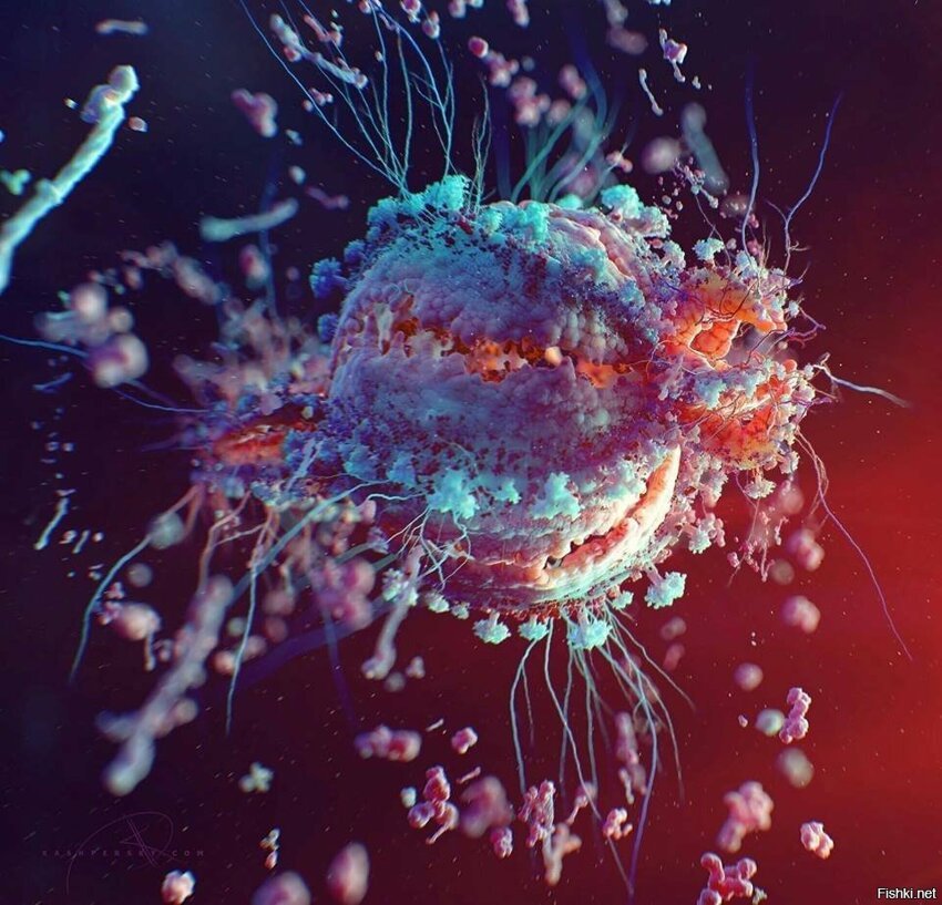 Как выглядит вирус иммунодефицита человека