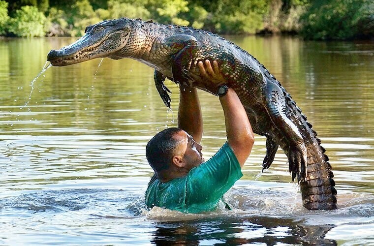 Они плавают в речках с крокодилами