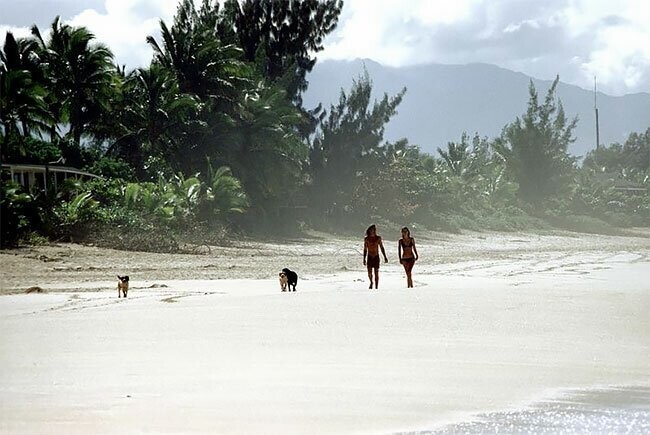 Фотографии с пляжа Оаху, Гавайи, что навевают ностальгию о 70-х годах и грусть о прошедшем лете