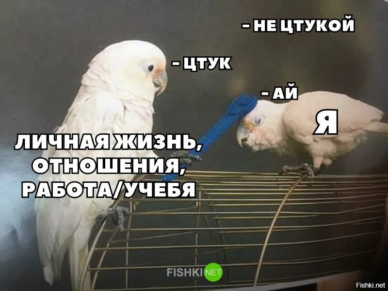 Жизненно
