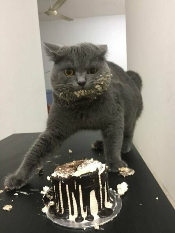 Ммм, какой тортик!