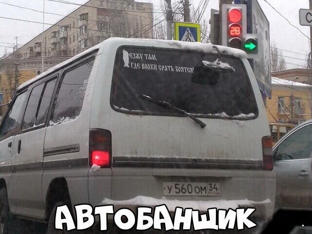 Автовсячина