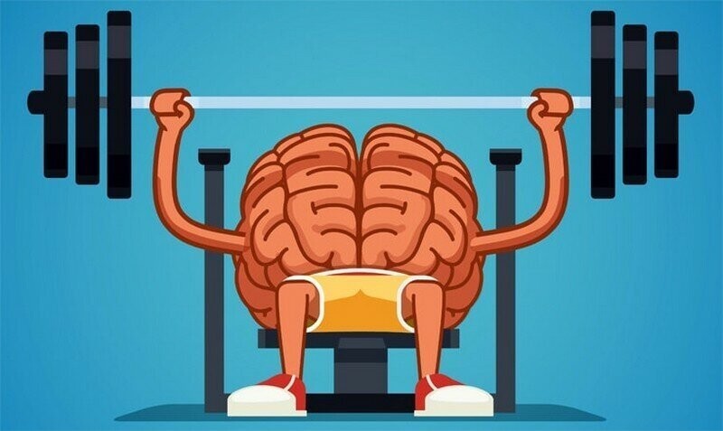 Разные тренировки влияют на наш мозг по-разному