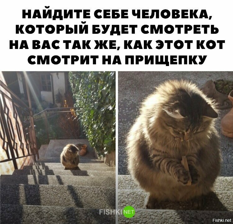 И правда