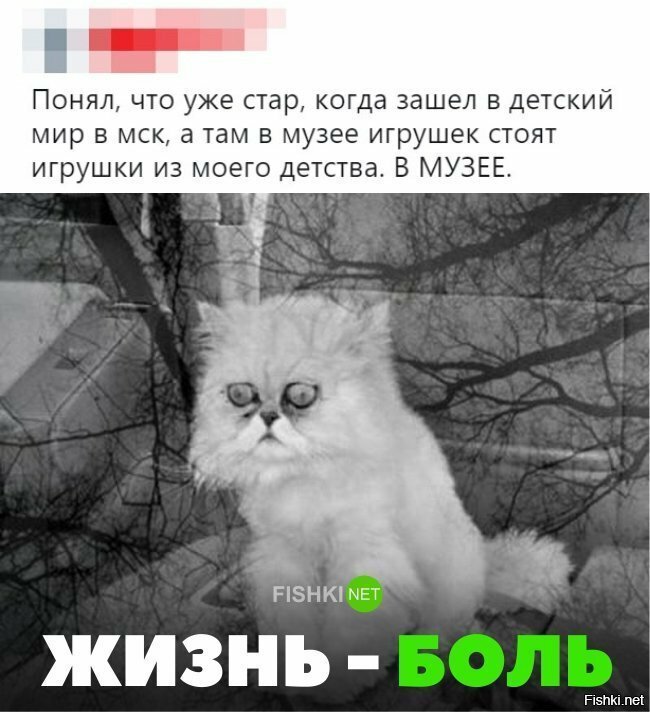 Жизнь боль