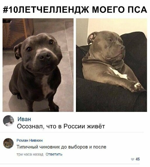 Прикольные и смешные картинки