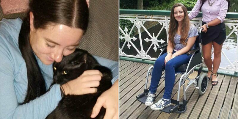 Девушка погладила бездомную кошку и оказалась парализована
