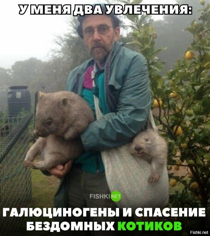 Хорошие увлечения