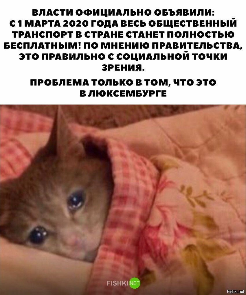 Извини, но ты живёшь в России