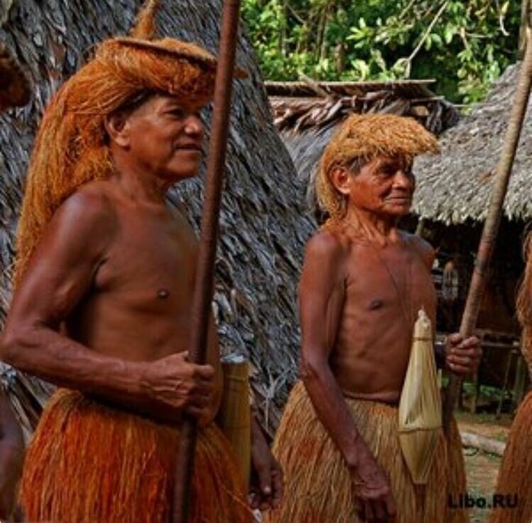 Бразилия: индейцы «топинамба»