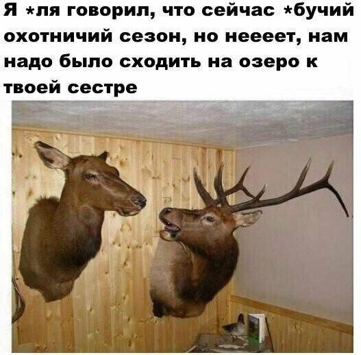 Прикольные и смешные картинки