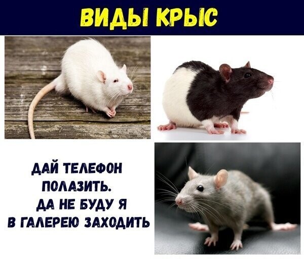 Картинки с надписями