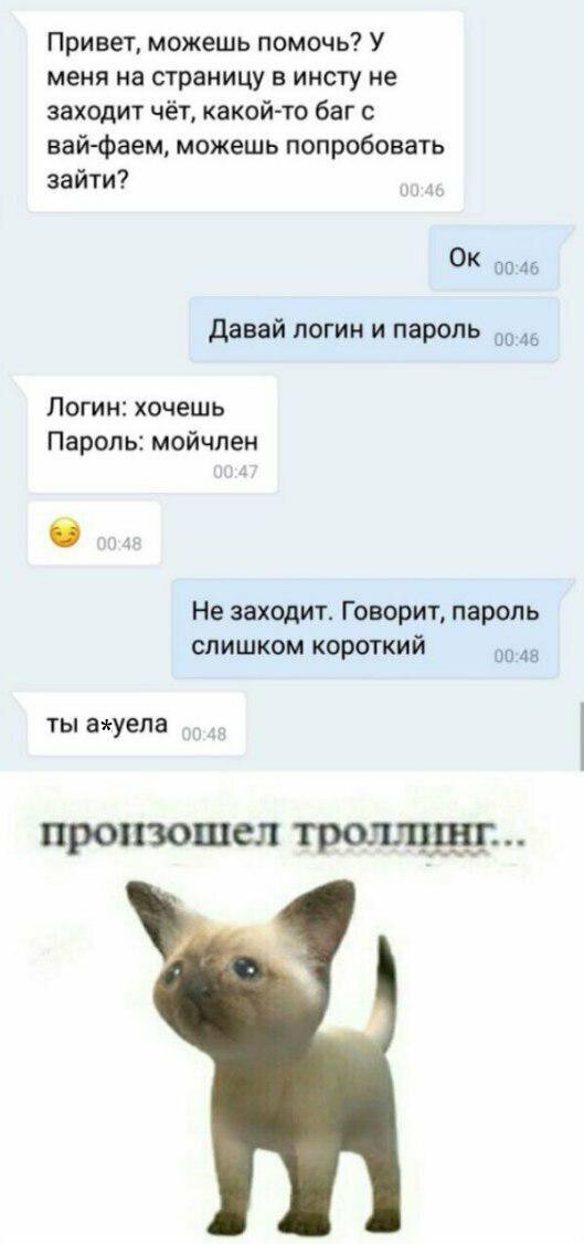 Прикольные и смешные картинки